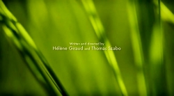 خیلی خیلی کوچک (2) (کراوات)